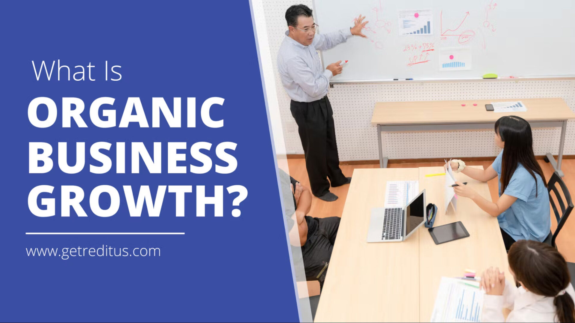 What Is Organic Business Growth? Your Playbook for 2024