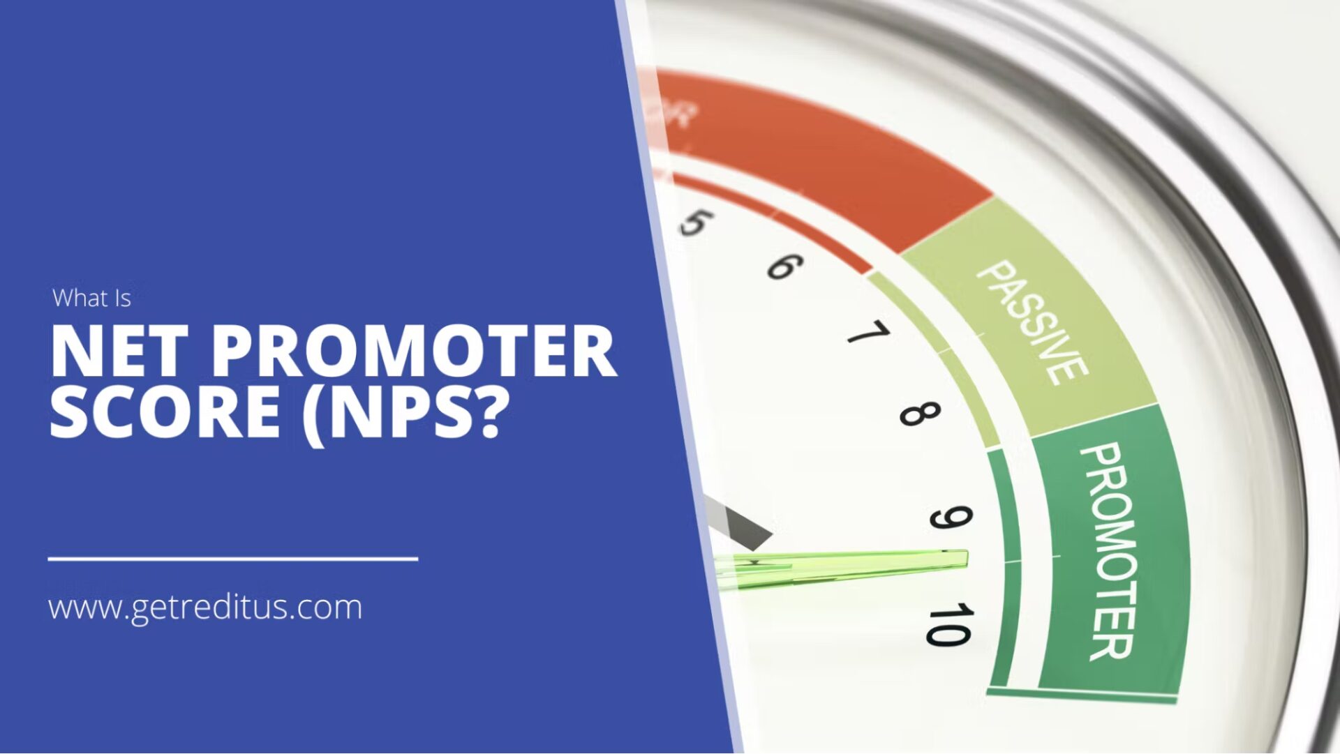 What Is NPS (Net Promoter Score)? Everything you need to know.